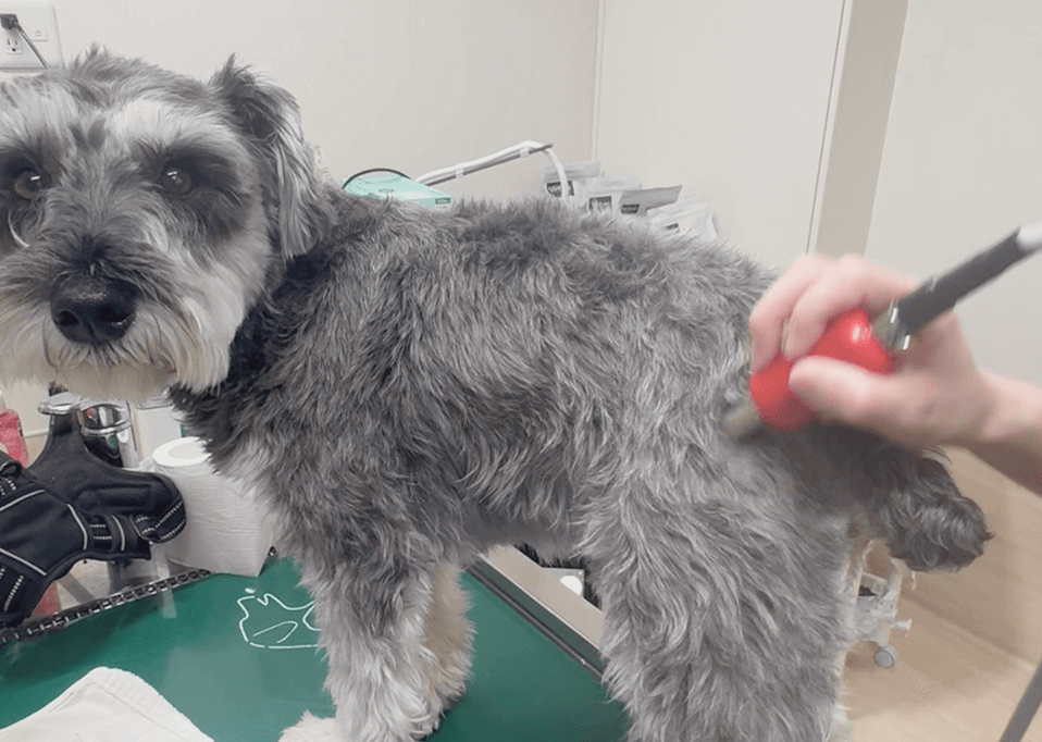 “病気を治す”だけでなく“病気にならない”体づくり